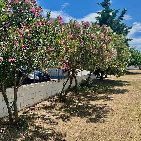 Lägenhet Salt & Sea *